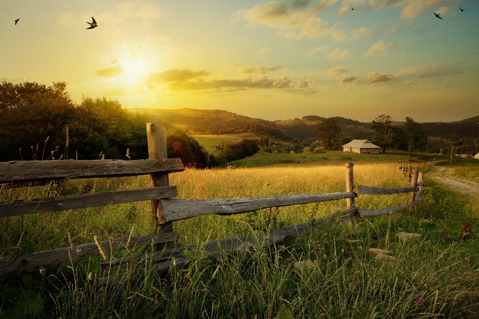 Agrilaw rural landscape