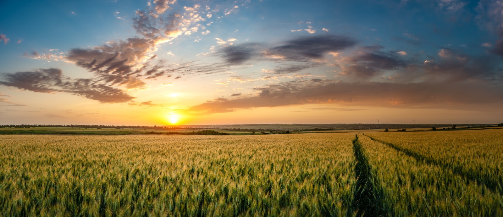 Farm background